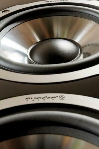 Black Speaker Image