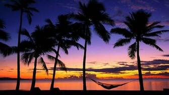 Tropical Beach At Sunset And Palm Hammocks Wallpaper Pictures