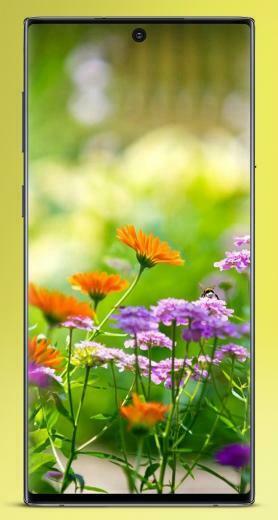 Wallpaper Bunga Cantik Offline For Android Apk