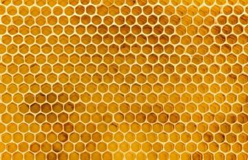 Honeycomb Texture Wallpaper Mural In