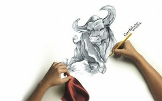 Pin Blue Bulls 3d Wallpaper Email Jokes Funny Pictures