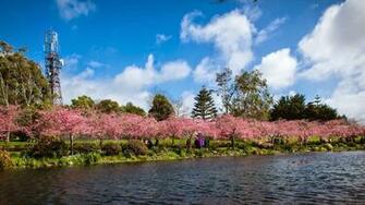 HD Wallpaper Spring Nature Ultra Wide