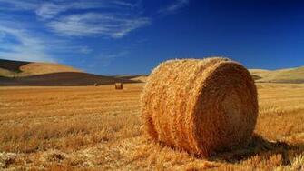 Country Wallpaper
