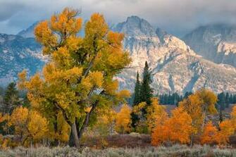 File Name High Resolution Image Of Usa Picture Wyoming National