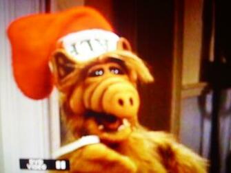 Alf Image HD Wallpaper And Background Photos