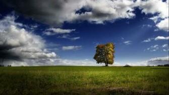 Nature Wallpaper