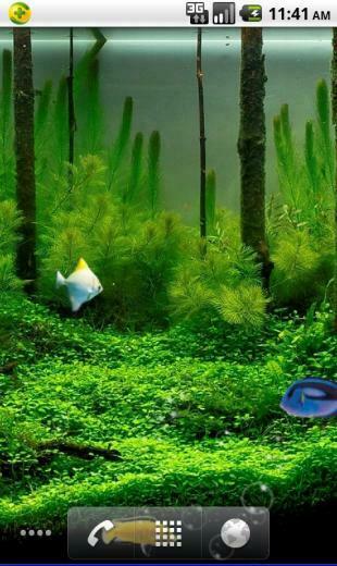 Aquarium Live Wallpaper Apk Mobile Theme Skin Pre Id