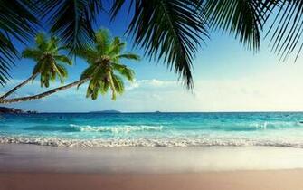 Tropical Beach Related Keywords Amp Suggestions