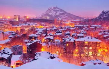 Wallpaper Winter Light Snow Trees The City Lights