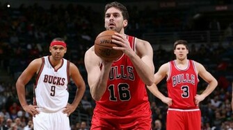 Pau Gasol Bulls Wallpaper The Art Mad