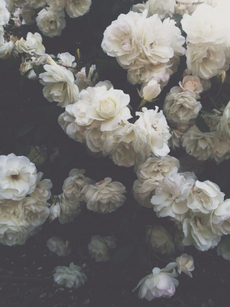 Aesthetic Wallpaper For Pc HD