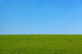 Grass And The Sky Background Stock Photo HD Public Domain