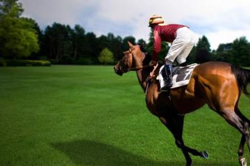 Horse Racing Wallpaper