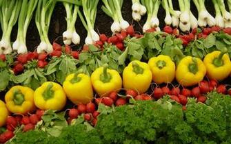 Vegetable Wallpaper