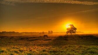 Wallpaper Windows German Landscapes