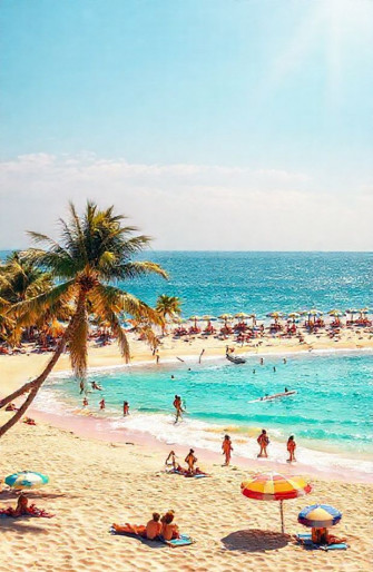 Summer Wallpaper