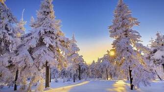 Winter Computer Wallpaper