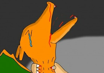 Charizard Vs Typhlosion By Moonmadmalkav