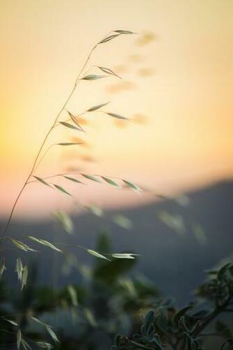 Mindful Background Image Jr Best Sunset Sunrise Cloud