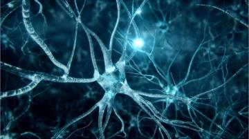 Mobile Compatible Neurons Wallpaper Background