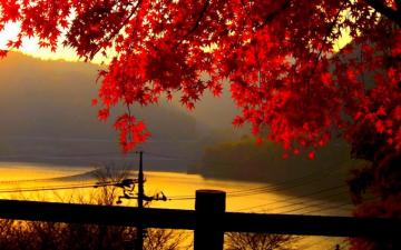 Beautiful Autumn Wallpaper Picserio