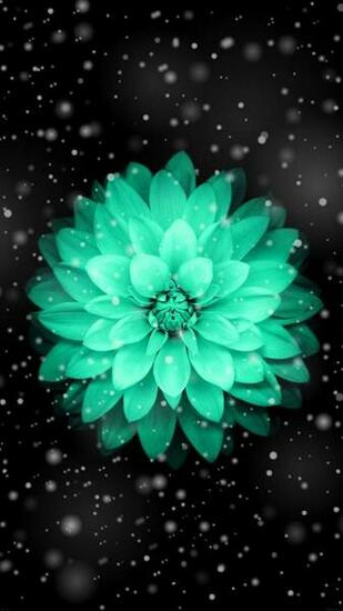 Cute Wallpaper Ofcourse And In HD