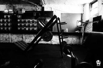 Beast Motivation Which Gym Would You Prefer To Go