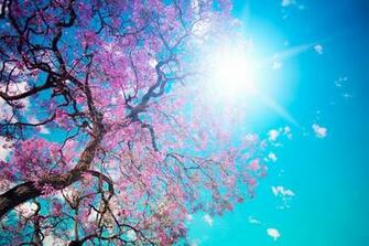 HD Wallpaper Background Image