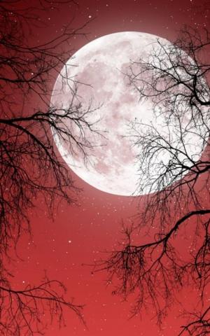 Red Full Moon Wallpaper On