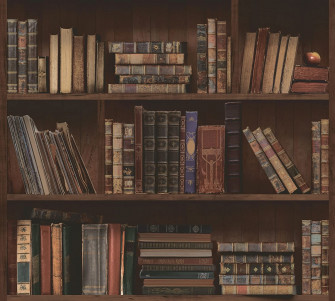 Bookshelf Wallpaper