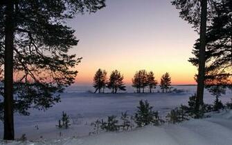 Winter Sunset Wallpaper