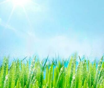 Sprinkler Background Green Grass Lawn Sprinklers