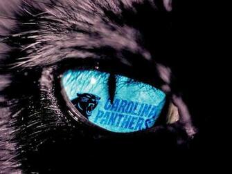 Carolina Panthers Sweet Team North