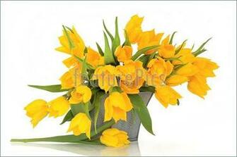 Flowers Yellow Tulip In A Pewter Vase Isolated Over White