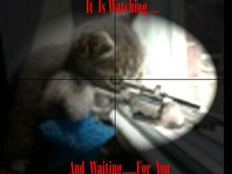 Wallpaper Sniper Kitty