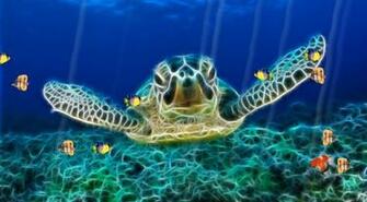 Aquarium Screensavers HD Ocean World Screensaver Video