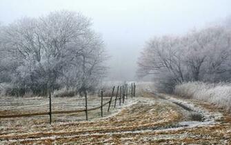 Snowy Field Wallpaper