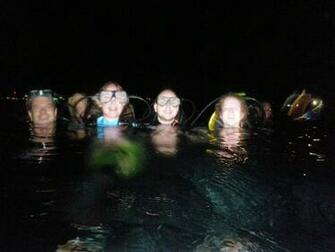 Night Diving At Carlisle Bay Dive Barbados Blue