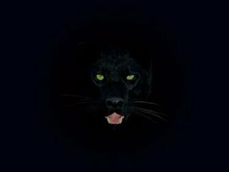 Dark Animals Wallpaper Top Background
