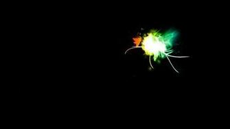 Butterfly HD Wallpaper Background
