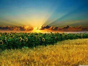Summer Season Wallpaper One HD Pictures