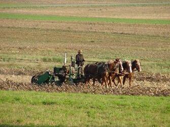 Amish Wallpaper