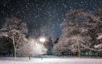 Snow Falling Wallpaper