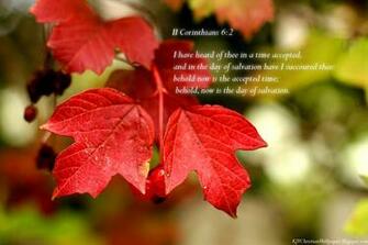 King James Kjb Versed Christian Wallpaper March
