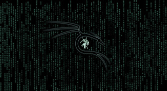 Kali Linux Logo Wallpaper
