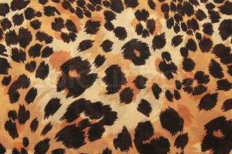Leopard Skin Pattern Background Cover Background Timeline
