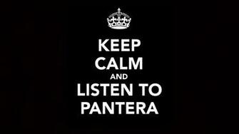 Pantera Computer Wallpaper Desktop Background Id