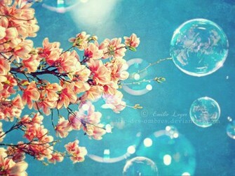 Spring WallpaperHD Wallpaper