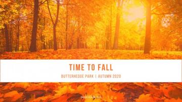 Best Fall Wallpaper For Your Desktop