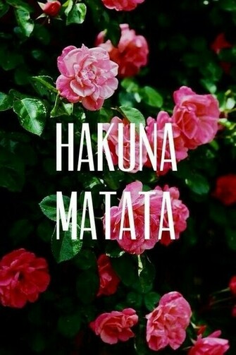 Hakuna Matata Wallpaper